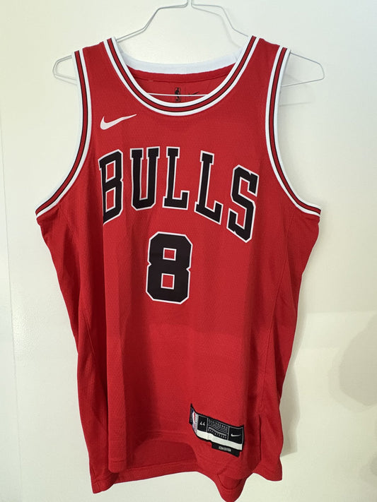 Caleb Wilson Chicago Bulls Red Jersey