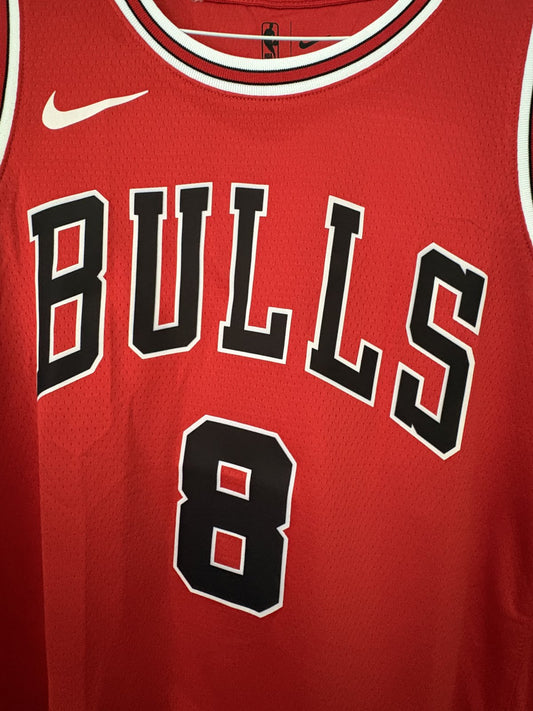 Caleb Wilson Chicago Bulls Red Jersey